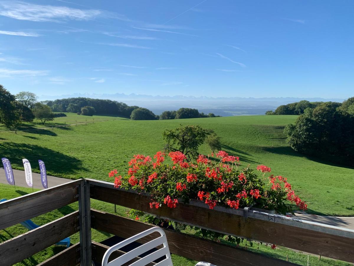 Hotel Restaurant Alpenblick Wolfisberg Eksteriør bilde